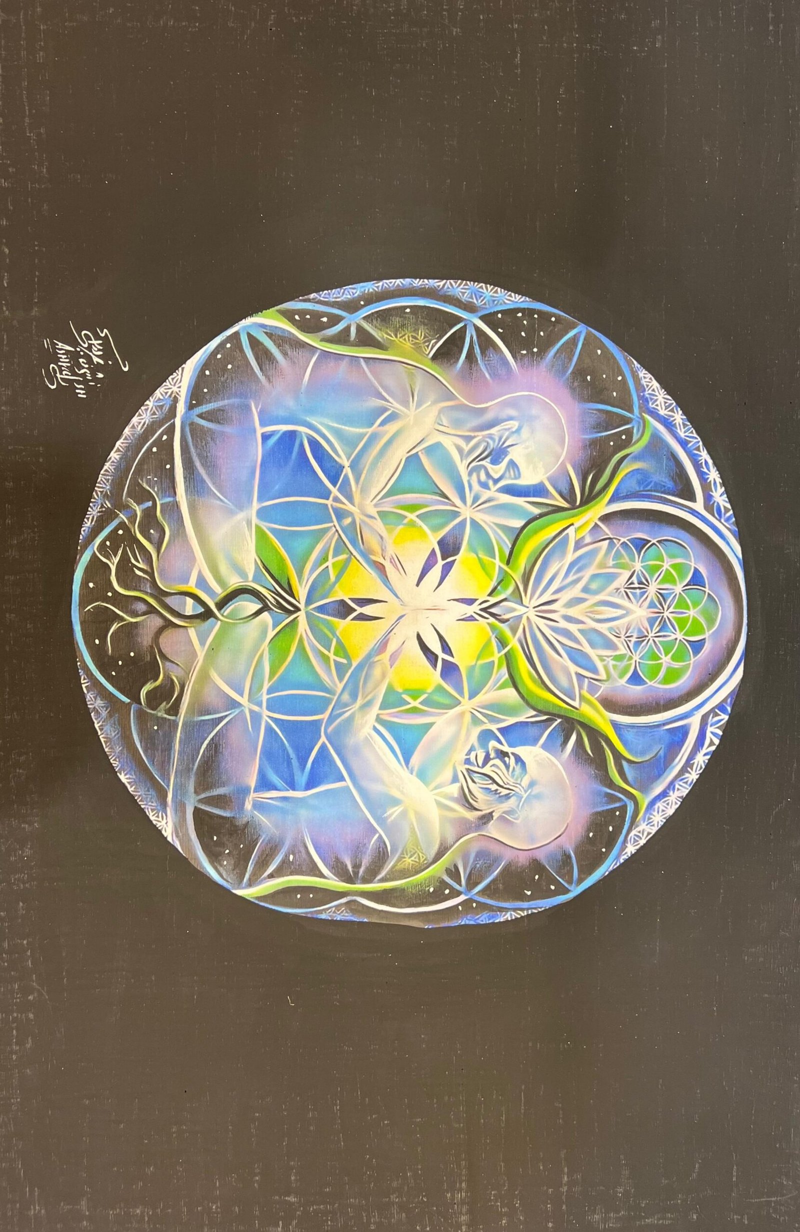 Flower Of Life Sphere Mandala Black Bg